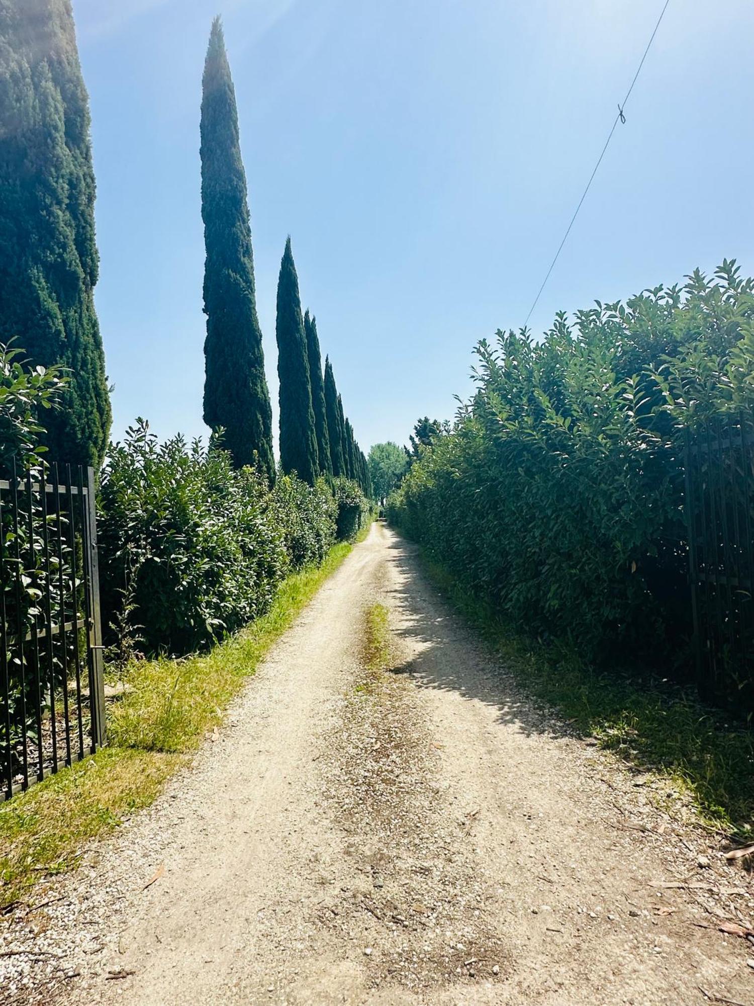 In - Bb - Country House, Rent- Roma * Le Rughe